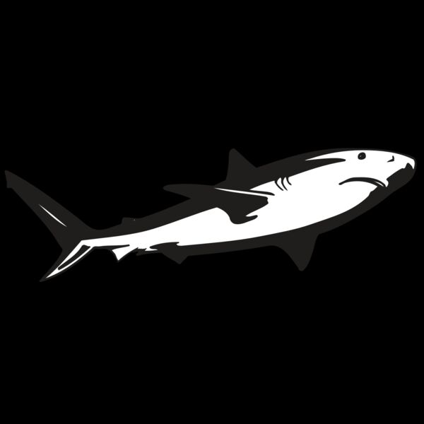 AR5 Shark 15 RQC Thumbnail